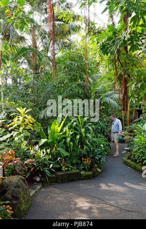 Man in the Bloedel Conservatory in Queen Elizabeth Park, Vancouver, BC, Canada Stock Photo