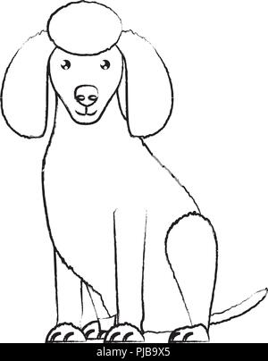 cute poodle dog icon over background, vector illustration Stock Vector ...