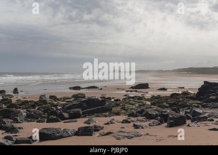 Looking along the beach at Forvie Sands Nature Reserve, Newburgh, Aberdeenshire, Scotland, UK Stock Photo