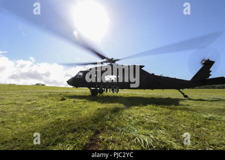 OPAE'ULA, Hawaii (July 19, 2018) A U.S. Army UH-60 Black Hawk helicopter,  assigned to 25th Infantry Division, 25th Combat Aviation Brigade, prepares  to lift off from a mountain clearing on the Hawaiian