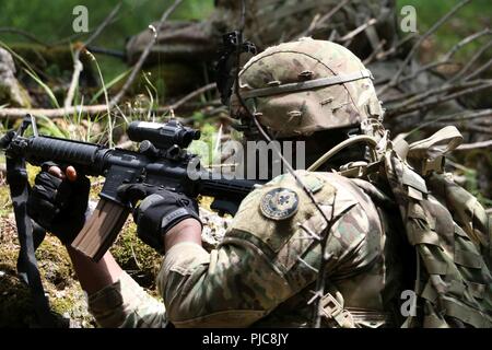 A soldier assigned to Nemesis Troop, 4th Squadron, 2d Cavalry Regiment scans his sectors of fire during a joint operation at the Hohenfels Training Area, Germany, July 12, 2018. Stock Photo