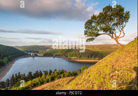 First light on Howden Reservoir in Derbyshire's wooded Upper Derwent Valley, part of the water supply for Sheffield and the East Midlands. Stock Photo
