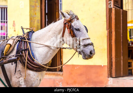 A typical view in Trinidad in Cuba Stock Photo