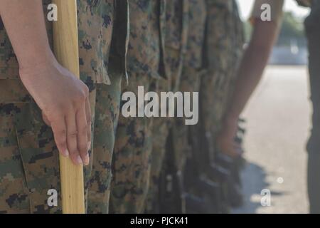 U.S. Marine Corps recruits with Platoon 4036, Oscar Company, 4th Recruit Training Battalion, stand at position of attention while being evaluated for Initial Drill at Peatross Parade Deck on Marine Corps Recruit Depot Parris Island, S.C., July 23, 2018. The recruits are scored for initial drill according to confidence, attention to detail, and discipline. Stock Photo