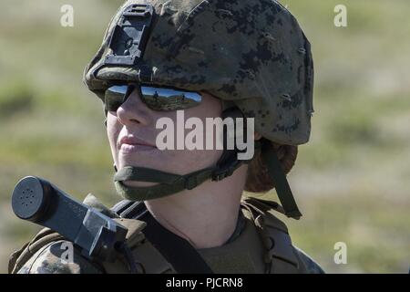 U.S. Marine Corps Lance Cpl. Kelsey Close, with Delta Company, 4th Law Enforcement Battalion from Marine Corps Reserve Center, Billings, Montana, surveys the area during training at Joint Base Elmendorf-Richardson, Alaska, July 19, 2018. Casualty evacuation training included learning how to secure wounded personnel onto litters and loading them onto a helicopter, providing security and casualty aid, and more. Stock Photo