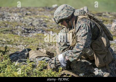 U.S. Marine Corps Sgt. Thomas Roeder, a Delta Company 4th Law Enforcement Battalion military police squad leader from Marine Corps Reserve Center, Billings, Montana, provides simulated aid during casualty evacuation training at Joint Base Elmendorf-Richardson, Alaska, July 19, 2018. The training included learning how to secure wounded personnel onto litters and loading them onto a helicopter, providing security and casualty aid, and more. Stock Photo