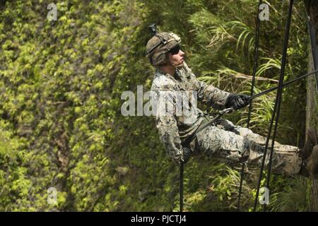 Cpl. William Rosenburger, a rifleman with Echo Company, Battalion Landing Team, 2nd Battalion, 5th Marines, rappels during a rope assisted movement practical application at Jungle Warfare Training Center, Camp Gonsalves, Okinawa, Japan, July 24, 2018. Rosenburger, a native of Scotch Plains, New Jersey, enlisted out of recruiting substation Elizabeth before leaving for basic training in October of 2014. The Marines trained at JWTC to prepare for an upcoming patrol of the Indo-Pacific region as the Ground Combat Element for the 31st Marine Expeditionary Unit. The 31st MEU, the Marine Corps’ only Stock Photo