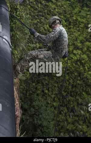 Cpl. Mitchell Fox, a rifleman with Echo Company, Battalion Landing Team, 2nd Battalion, 5th Marines, rappels during a rope assisted movement practical application at Jungle Warfare Training Center, Camp Gonsalves, Okinawa, Japan, July 24, 2018. Fox, a native of Allentown, Pennsylvania, enlisted from recruiting substation Cedar Rapids before leaving for basic training in June of 2015. The Marines trained at JWTC to prepare for an upcoming patrol of the Indo-Pacific region as the Ground Combat Element for the 31st Marine Expeditionary Unit. The 31st MEU, the Marine Corps’ only continuously forwa Stock Photo