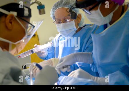 JACKSONVILLE, Fla. (July 24, 2018) Kathleen Martens, an oral surgery assistant at Naval Hospital Jacksonville, passes instruments to a surgeon in the operating room. Martens, a native of Jacksonville, Florida, says 'It gives me great satisfaction to help our country’s heroes.' Stock Photo