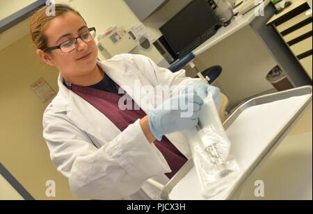 JACKSONVILLE, Fla. (July 24, 2018) Hospitalman Adrianna Uvidia, a dental technician at Naval Branch Health Clinic Jacksonville, prepares a patient room for an oral exam. Uvidia, a native of Orange County, California, says “We take care of the patient’s smile. So in a way, we affect everyone the patient encounters as well.” Stock Photo