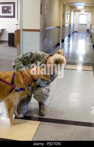 Members of the 178th Wing visit with Gouda, a certified volunteer therapy pet, as part of the Animal Assisted Activities Program at the Springfield Air National Guard Base in Ohio, July 11, 2018. Gouda’s visit marks the official implementation of the program, ran by the Director of Psychological Health. Gouda and her handler are the first of many expected future visits to the Wing. Stock Photo