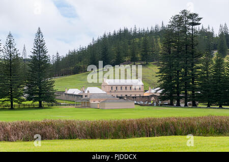 Old Military Barracks and Norfolk Pines, Kingston, Norfolk Island Stock Photo