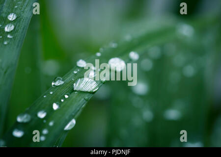 love and dust Stock Photo