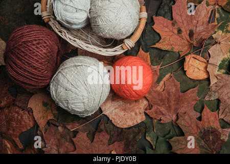 Knitting threads in a park on leaves Stock Photo