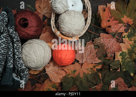 Knitting threads in a park on leaves Stock Photo