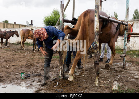 Karakol, Kyrgystan, August 13 2018: Farrier on the weekly animal market in Karakol changes horses' horseshoes Stock Photo
