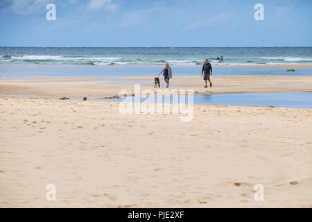 Dog walkers on Crantock Beach in Newquay Cornwall. Stock Photo