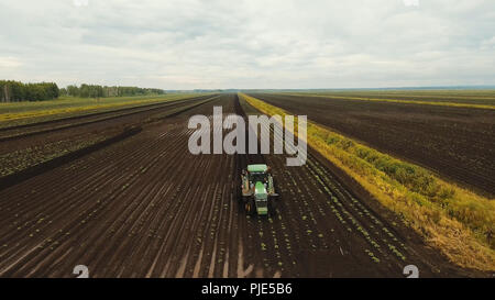 Aerial view Tractor Hilling Potatoes with disc hiller. Farmer in