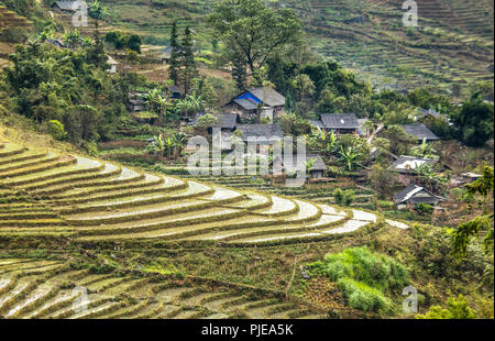 Rice field terraces in Sapa, northern Vietnam Stock Photo