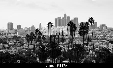 Los Angeles skyline. Stock Photo