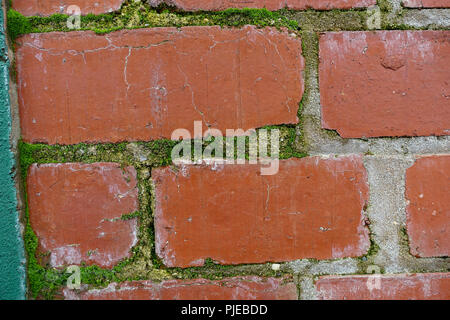 Red Bricks with moss Stock Photo