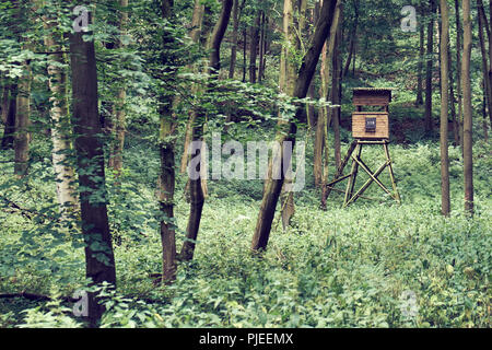 A german rangers high seat deep in the woods surrounded by trees in summer Stock Photo