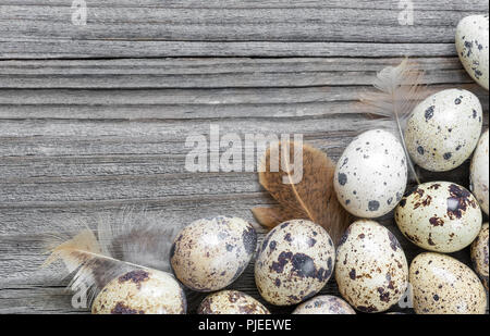 Spotted quail eggs and feathers arranged in a form of the frame on the background of old wooden boards, with copy-space Stock Photo