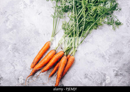 Fresh ripe carrots from the garden are on a concrete surface with a view from above Stock Photo