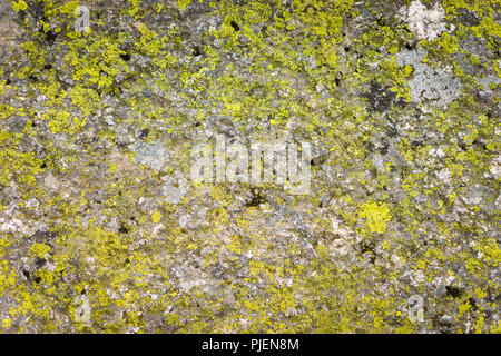 Beautiful relief and texture of stone with patterns and moss. Stone natural background. Stock Photo