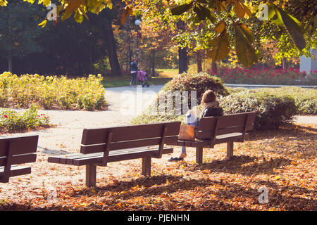 Wooden park benches, girl sitting and reading the book, peaceful relaxed city park on the warm autumn day, colourful leaves, flowers and bushes Stock Photo