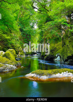 Portrait photograph (without people) capturing spectacular, natural & magical beauty of Fairy Glen, Betws-y-coed, Wales, UK. Beautiful welsh scenery. Stock Photo