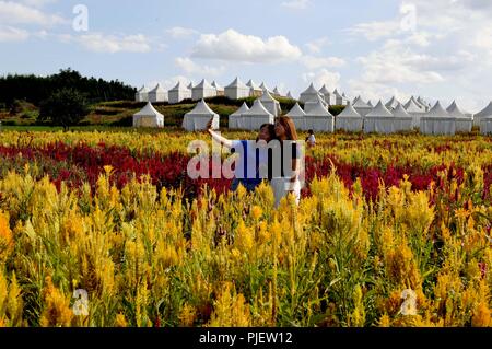 Luoping, China's Yunnan Province. 5th Sep, 2018. Tourists take selfies amidst colorful flowers in Luoping County, southwest China's Yunnan Province, Sept. 5, 2018. Colorful flower fields of 200 hectares are created by the local government in Luoping County to boost tourism development. Credit: Yang Zongyou/Xinhua/Alamy Live News Stock Photo