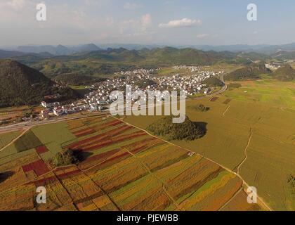 Luoping. 5th Sep, 2018. Aerial photo taken on Sept. 5, 2018 shows the colorful flower field in Luoping County, southwest China's Yunnan Province. Colorful flower fields of 200 hectares are created by the local government in Luoping County to boost tourism development. Credit: Yang Zongyou/Xinhua/Alamy Live News Stock Photo