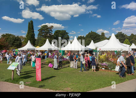 RHS Garden Wisley, Surrey, England, UK. 6th Sept 2018. People enjoying the warm sunshine at the RHS Wisley flower show. © Tony Watson/Alamy Live News Stock Photo