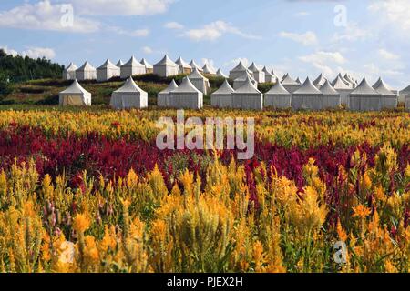 Luoping, China's Yunnan Province. 5th Sep, 2018. Tent hotels are seen amidst colorful flowers in Luoping County, southwest China's Yunnan Province, Sept. 5, 2018. Colorful flower fields of 200 hectares are created by the local government in Luoping County to boost tourism development. Credit: Yang Zongyou/Xinhua/Alamy Live News Stock Photo