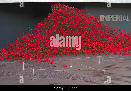 Manchester, UK. 7th Sept 2018. The iconic poppy sculpture Wave by artist Paul Cummins and designer Tom Piper at IWM North. This is the final presentation of Wave as part of 14-18 commemoration. It is the first time that Manchester has hosted one of these artworks. The installation ‘Blood Swept Lands and Seas of Red’ poppies an original concept by artist Paul Cummins and installation designed by Tom Piper. Credit: MediaWorldImages/Alamy Live News Stock Photo