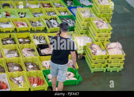 Buyers examine the catch  at the  Dockside Fish Market in the small seaside town, Llanes Spain. Stock Photo