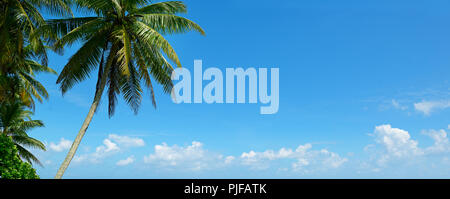 Branches of palm tree against beautiful white clouds on blue sky Stock Photo