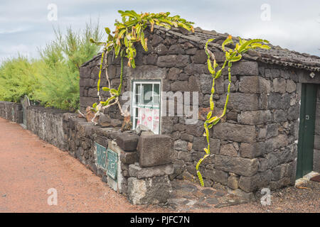 Typical house made of volcanic rocks, Verdelho wine region, Pico Island, Azores, Portugal Stock Photo