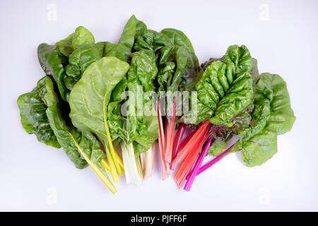 Organic rainbow chard: spray-free leafy greens in fan arrangement isolated on white background Stock Photo