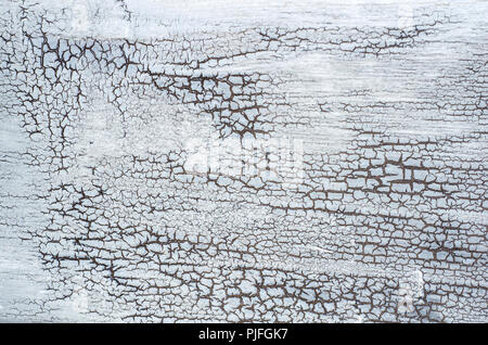 Grey texture with crackles.Ancient wooden background with pale silver peeling paint. The old wooden painted textured surface. Stock Photo