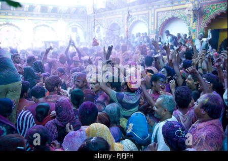 Devotees they celebrate Holi Festival  at Dwarka Dhish Mandir Mathura  Uttar Pradesh  India Asia, South Asia Stock Photo