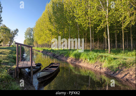 typical boats moored at the marsh of Fucecchio, Tuscany, Italy Stock Photo