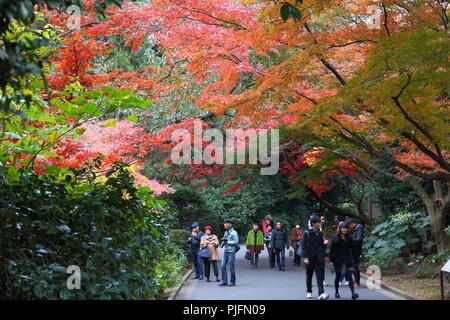 TOKYO, JAPAN - NOVEMBER 30, 2016: People visit autumn Ginkgo