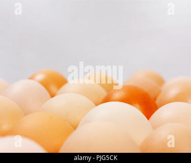 the eggs in the carton boxes laying on gray background with copy space closeup Stock Photo