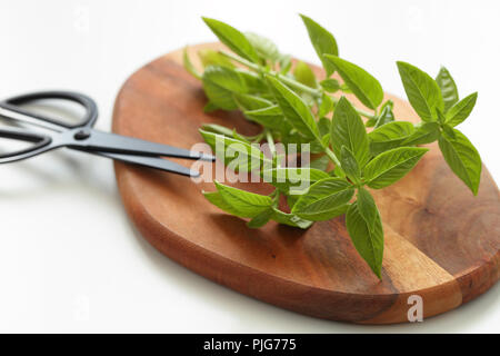 Fresh basil on a cutting board Stock Photo