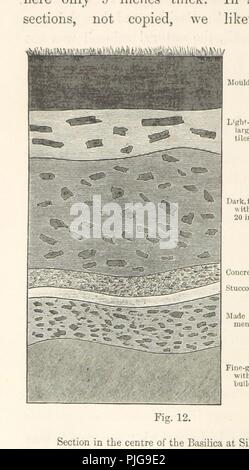 Image  from page 226 of '[The Formation of Vegetable Mould, through the Action of Worms, with observations on their habits . With illustrations.]' . Stock Photo