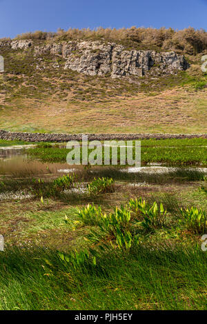 Small lake at Ynys-Y-Fydlyn, Anglesey on the North Wales coast Stock Photo