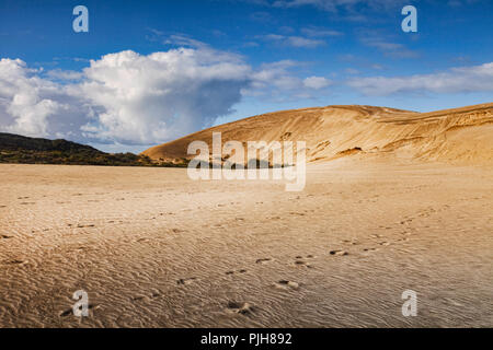 Te Paki giant sand dunes, Northland, New Zealand. Stock Photo