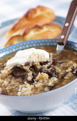 Russian sauerkraut sout with mushrooms and pearl barley Stock Photo